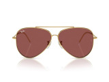 Сонцезахисні окуляри Ray-Ban Aviator Reverse RB R0101S 001/69 59 мм TINTED PINK