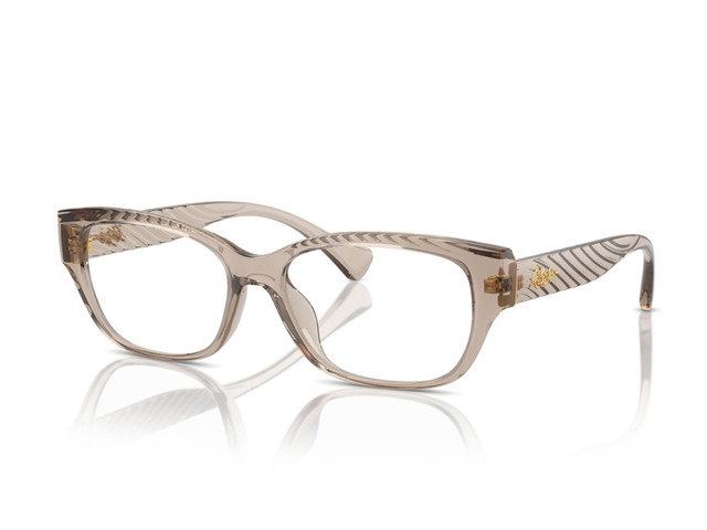 Оправа RALPH LAUREN RA 7165U 5802 53 мм
