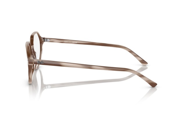 Оправа Ray-Ban RB 5395 8357 49мм.. Фото 6