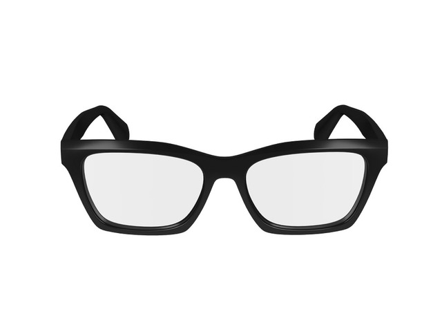 Оправа Salvatore Ferragamo SF2986 001 53 мм.