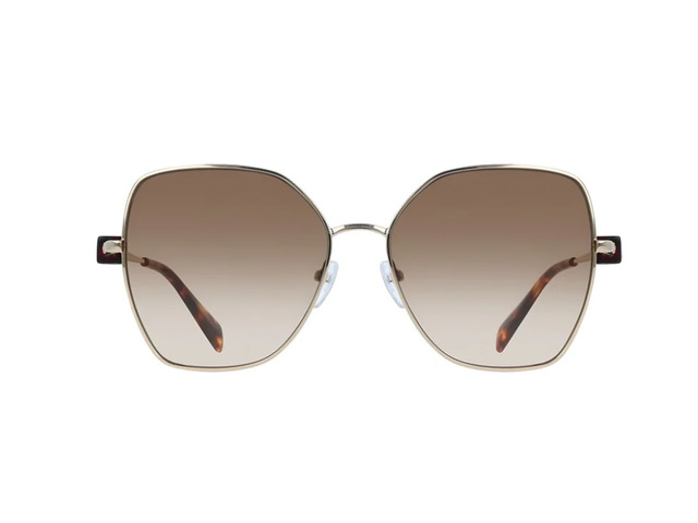 Сонцезахисні окуляри LIU:JO LJ160S 731 58 мм GRADIENT BROWN