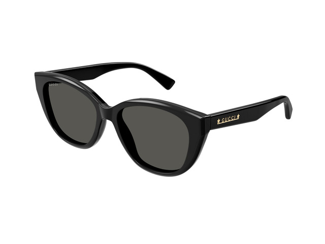 Сонцезахисні окуляри GUCCI GG1588S 001 54 мм TINTED GREY