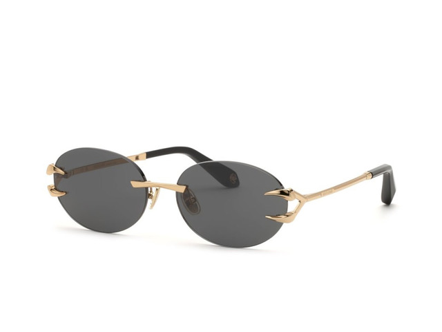 Сонцезахисні окуляри Roberto Cavalli SRC182 300K 59 TINTED GREY