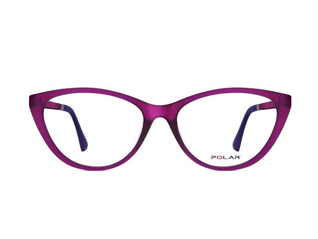 Оправа з накладкою POLAR 486 Col.08 54 мм