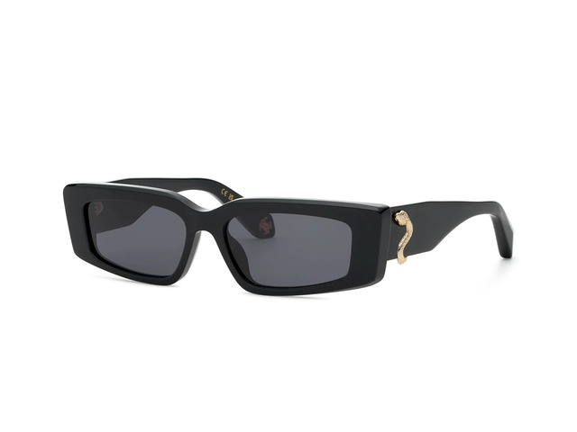 Сонцезахисні окуляри Roberto Cavalli SRC185 0700 55 мм TINTED GREY