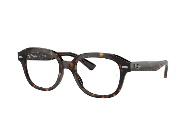 Оправа Ray-Ban Erik RB 7215 2012 51 мм.