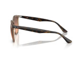 Сонцезахисні окуляри Ray-Ban RB 4306 6788/46 54мм. GRADIENT BROWN. Фото 3