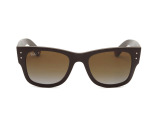 Сонцезахисні окуляри Ray-Ban RB 4840-S 6124/T5 52мм GRADIENT BROWN POLAR