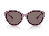 Сонцезахисні окуляри MICHAEL KORS MK2229D 40057N 59мм TINTED BROWN