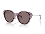 Сонцезахисні окуляри MICHAEL KORS MK2229D 40057N 59мм TINTED BROWN . Фото 2