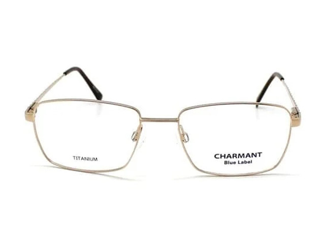 Оправа CHARMANT Titanium CH16128 GP 54 мм