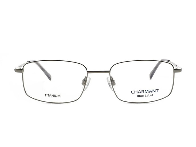 Оправа CHARMANT CH16136 GR 53мм.