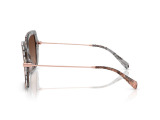 Сонцезахисні окуляри MICHAEL KORS MK2247U 4017T5 55 мм TINTED BROWN POLAR. Фото 3