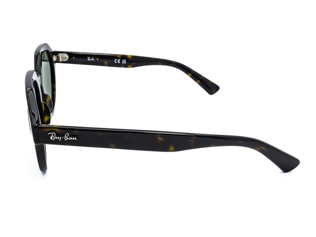 Сонцезахисні окуляри Ray-Ban Gina RB 4399 902/31 53мм. TINTED GREEN. Фото 3