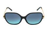 Сонцезахисні окуляри TIFFANY & CO TF 4191 8001/9S 57 мм GRADIENT BLUE