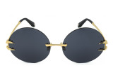Сонцезахисні окуляри Roberto Cavalli SRC006 0300 63мм TINTED GREY