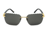 Сонцезахисні окуляри CHOPARD SCHG62 300P 61 мм TINTED GREY POLAR