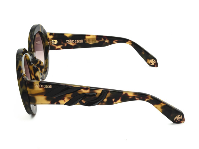 Сонцезахисні окуляри Roberto Cavalli SRC010 0AGG 52 мм GRADIENT BROWN. Фото 3