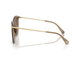 Сонцезахисні окуляри MICHAEL KORS MK 2184U 3938T5 58 мм. TINTED BROWN POLAR. Фото 3