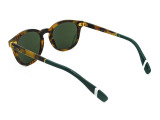Сонцезахисні окуляри POLO Ralph 4206 5017/71 52 мм TINTED GREEN. Фото 4