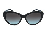 Сонцезахисні окуляри JIMMY CHOO JC 5007 5000/8G 55 мм GRADIENT GREY