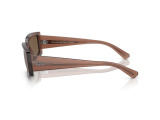 Сонцезахисні окуляри Ray-Ban Kiliane Bio Based RB 4395 6678/73 54мм. TINTED BROWN. Фото 3