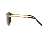 Сонцезахисні окуляри MICHAEL KORS MK2023 3106T5 53мм. GRADIENT BROWN POLAR. Фото 3