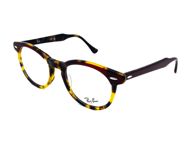 Оправа Ray-Ban EAGLEEYE RB 5598 8250 51мм.