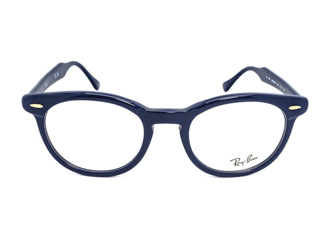 Оправа Ray-Ban RB 5598 8231 51мм.