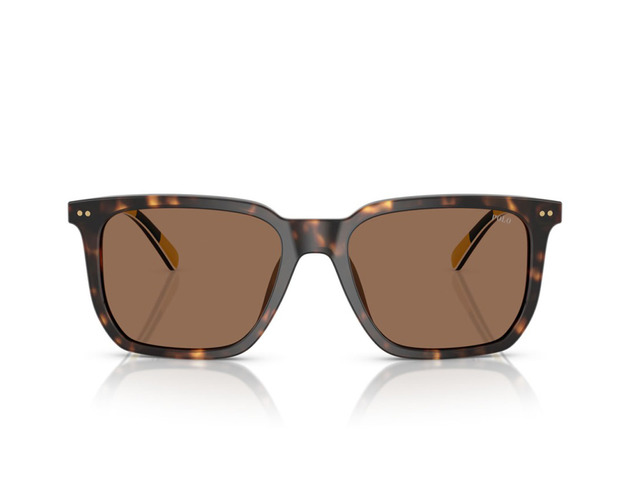 Сонцезахисні окуляри POLO PH 4224U 5003/73 55 мм TINTED BROWN