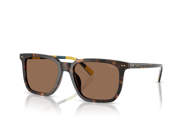 Сонцезахисні окуляри POLO PH 4224U 5003/73 55 мм TINTED BROWN