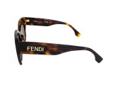 Сонцезахисні окуляри FENDI FE40070I 53H 54мм. TINTED BROWN POLAR. Фото 3