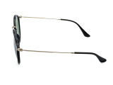 Сонцезахисні окуляри Ray-Ban Round Icons RB 2447 901 49 мм. TINTED GREEN. Фото 3