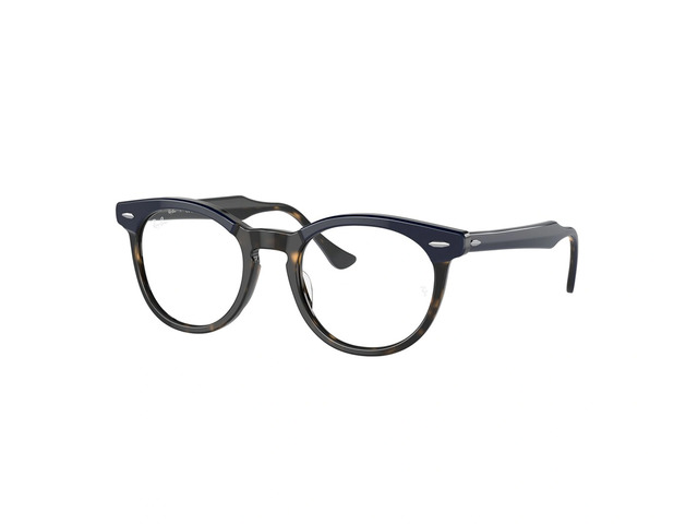Оправа Ray-Ban EAGLEEYE RB 5598 8283 51 мм.
