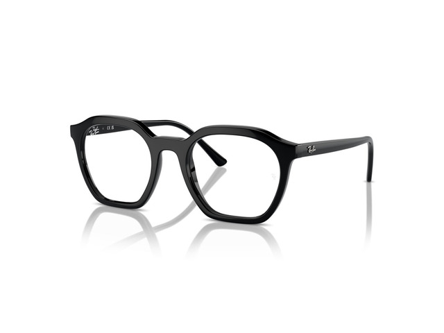 Оправа Ray-Ban ALICE RB 7238 2000 50 мм