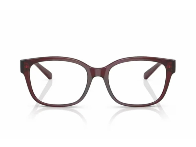 Сонцезахисні окуляри ARMANI EXCHANGE AX 3098 8241 53 мм GRADIENT BROWN