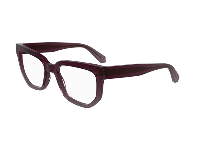 Оправа Calvin Klein  CKJ24615 602 53 мм. PHOTOCHROMIC. Фото 6