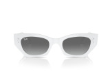 Сонцезахисні окуляри Ray-Ban ZENA RB 4430 6759/11 49мм GRADIENT GREY 