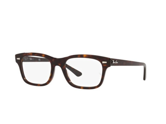 Оправа Ray-Ban RB 5383 2012 52 мм.. Фото 2
