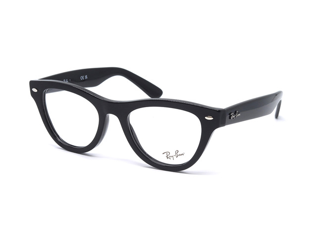 Оправа Ray-Ban RB 5510 2000 50 мм