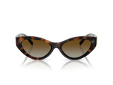 Сонцезахисні окуляри Tiffany & Co TF 4225-U 8015/T5 54 мм GRADIENT BROWN
