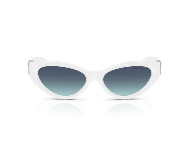 Сонцезахисні окуляри Tiffany & Co TF 4225-U 8392/9S 54 мм GRADIENT BLUE