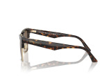 Сонцезахисні окуляри JIMMY CHOO JC 5014 5002/73 54 мм TINTED BROWN. Фото 3