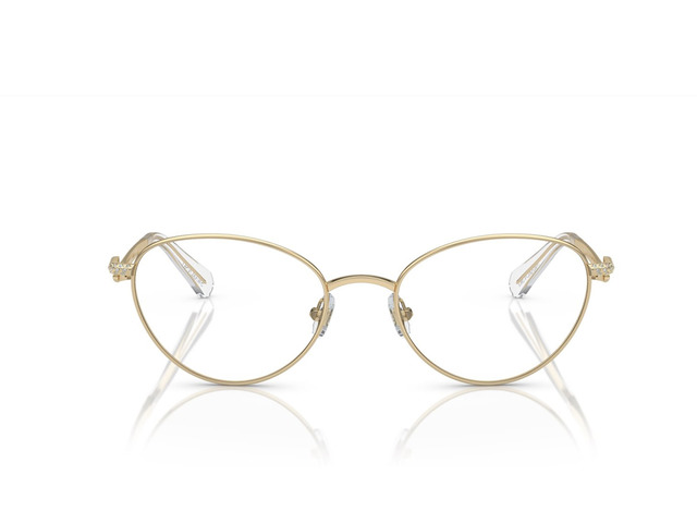 Оправа SWAROVSKI SK 1002 4004 53 мм