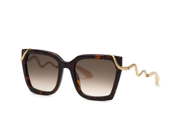 Сонцезахисні окуляри Roberto Cavalli SRC034M 0743 56 мм GRADIENT BROWN
