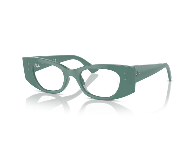 Оправа Ray-Ban RB 7327 8345 50 мм