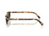 Сонцезахисні окуляри MiuMiu SMU A06 14L-09Z 54 мм TINTED BROWN. Фото 3