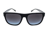 Сонцезахисні окуляри EMPORIO ARMANI EA 4163 5875/8G 56 мм. GRADIENT GREY
