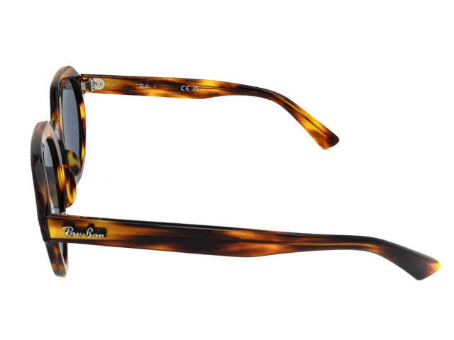 Сонцезахисні окуляри Ray-Ban Gina RB 4399 954/62 53 мм. TINTED BLUE. Фото 3