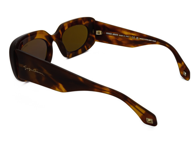Сонцезахисні окуляри GIORGIO ARMANI AR 8182 5988/33 52мм. TINTED BROWN. Фото 4